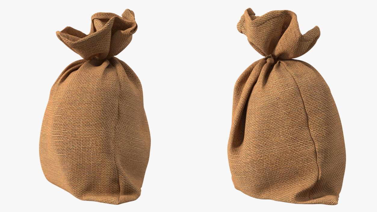 3D Burlap Sack Tied Closed model