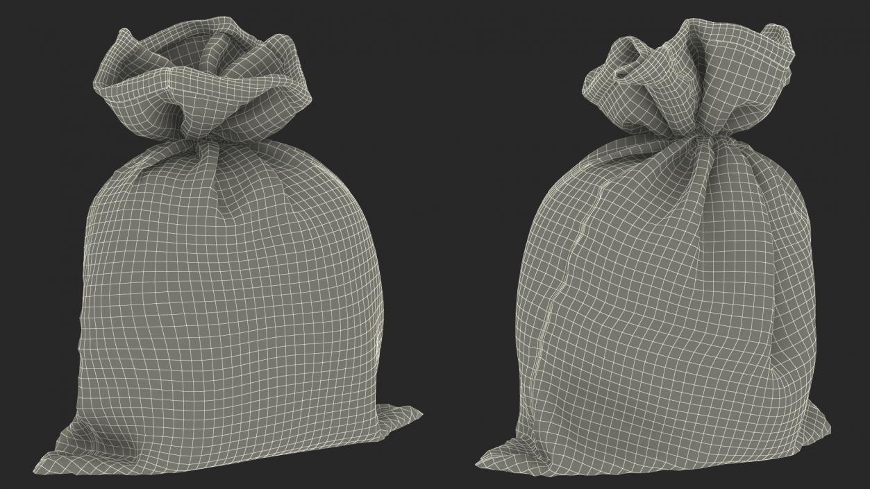 3D Burlap Sack Tied Closed model