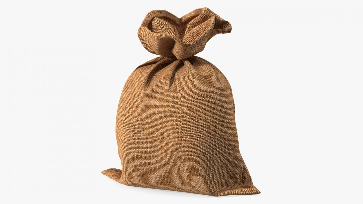 3D Burlap Sack Tied Closed model