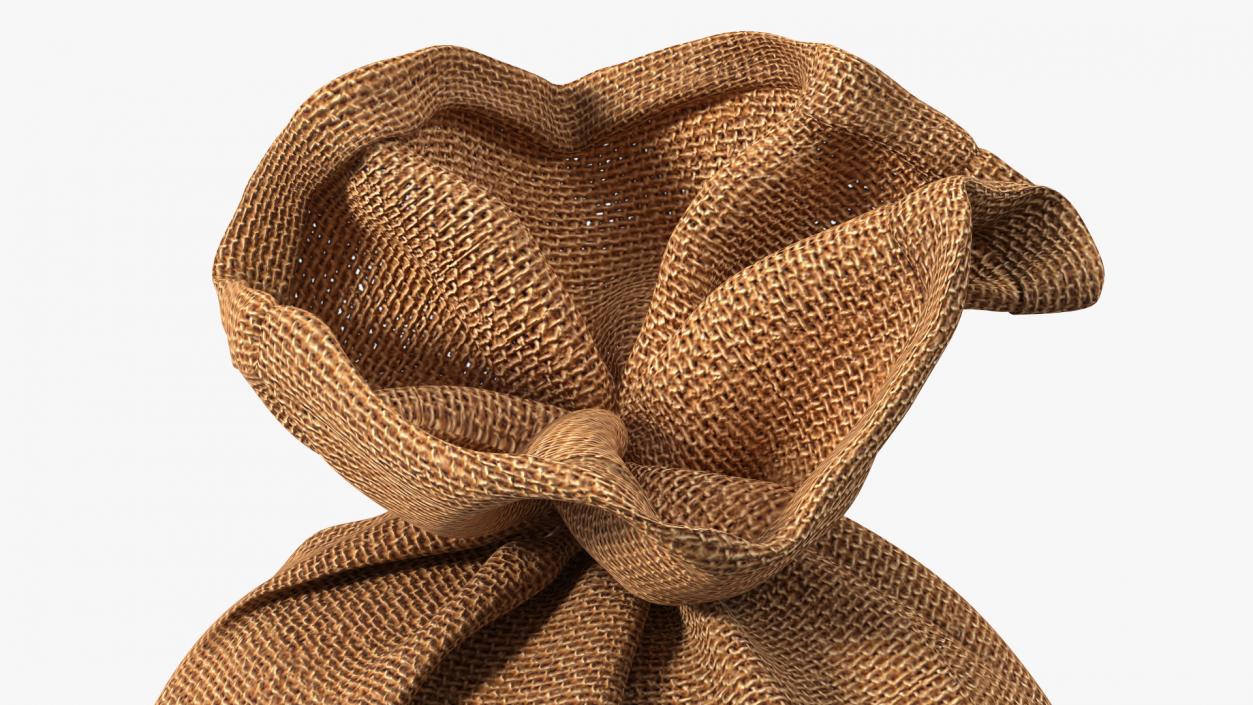 3D Burlap Sack Tied Closed model