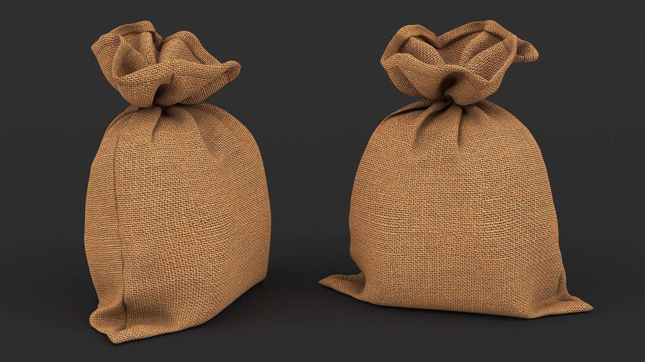 3D Burlap Sack Tied Closed model