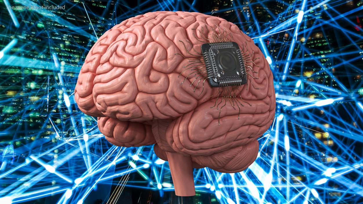 3D Human Brain with Implanted Microchip 2 model