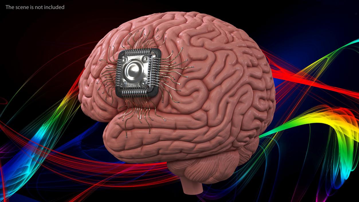 3D Human Brain with Implanted Microchip 2 model