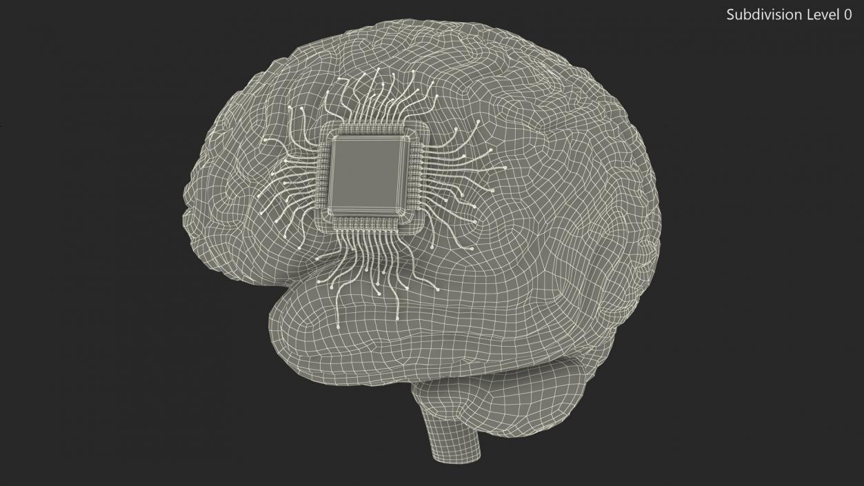 3D Human Brain with Implanted Microchip 2 model