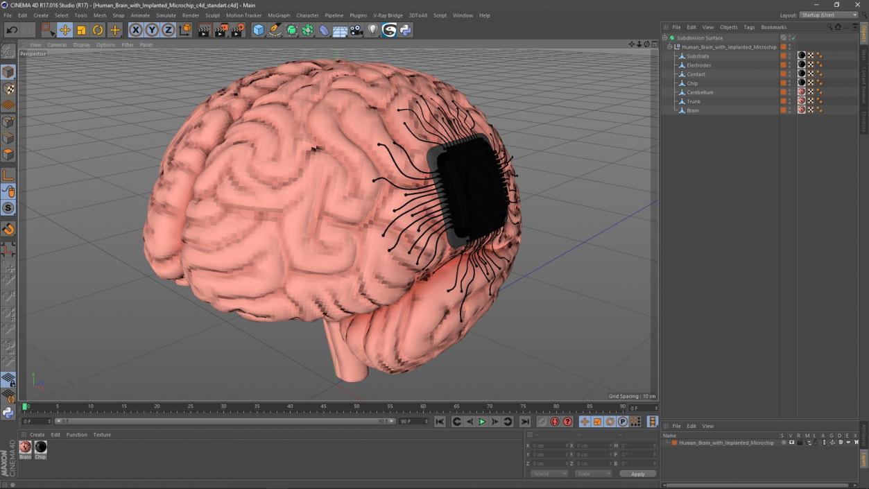 3D Human Brain with Implanted Microchip 2 model