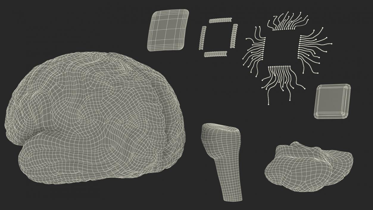 3D Human Brain with Implanted Microchip 2 model