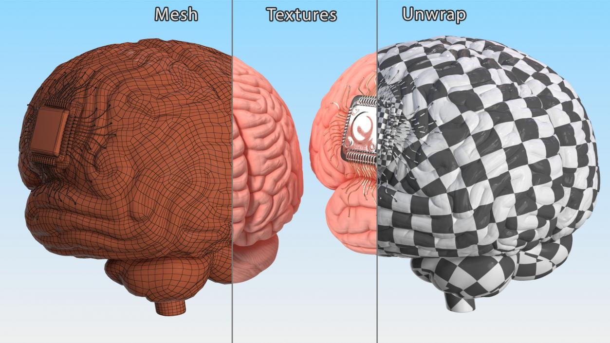 3D Human Brain with Implanted Microchip 2 model