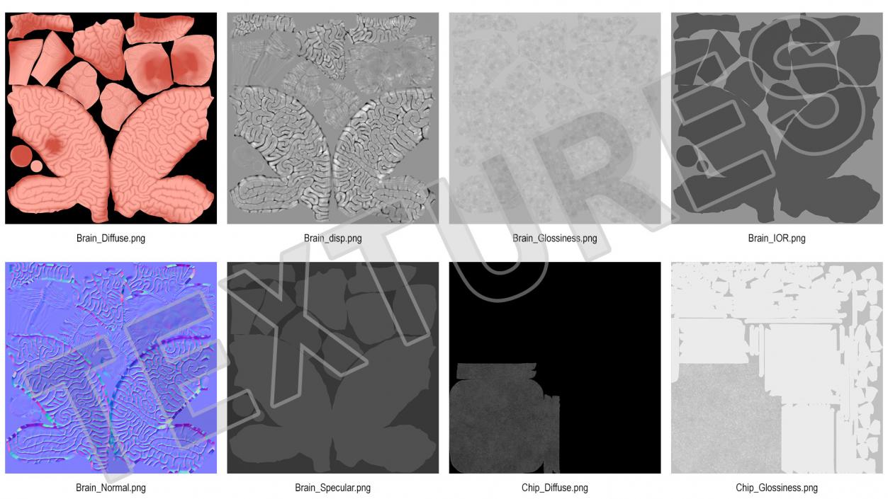 3D Human Brain with Implanted Microchip 2 model