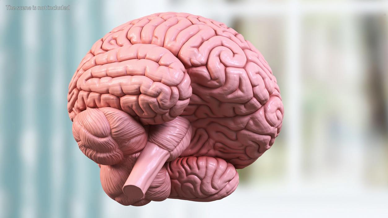 3D Human Brain with Implanted Microchip 2 model