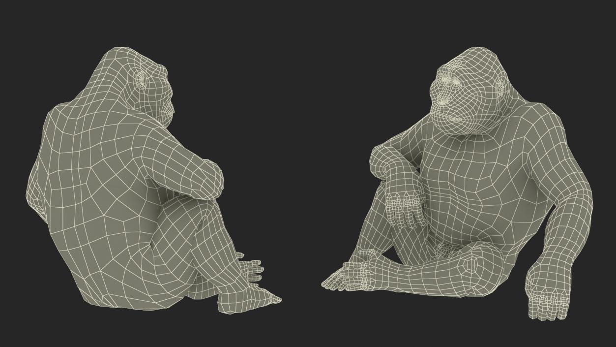 3D model Gigantopithecus in Sitting Pose Fur