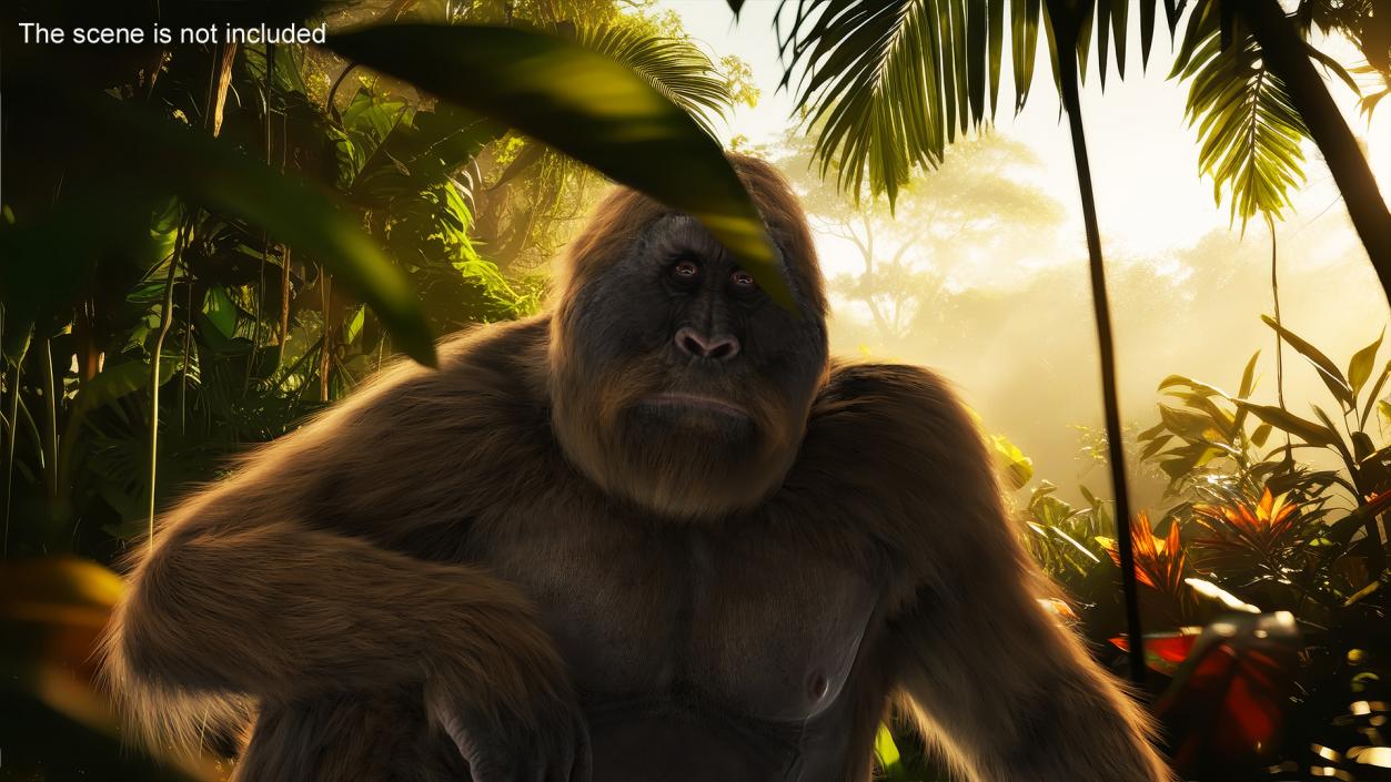 3D model Gigantopithecus in Sitting Pose Fur