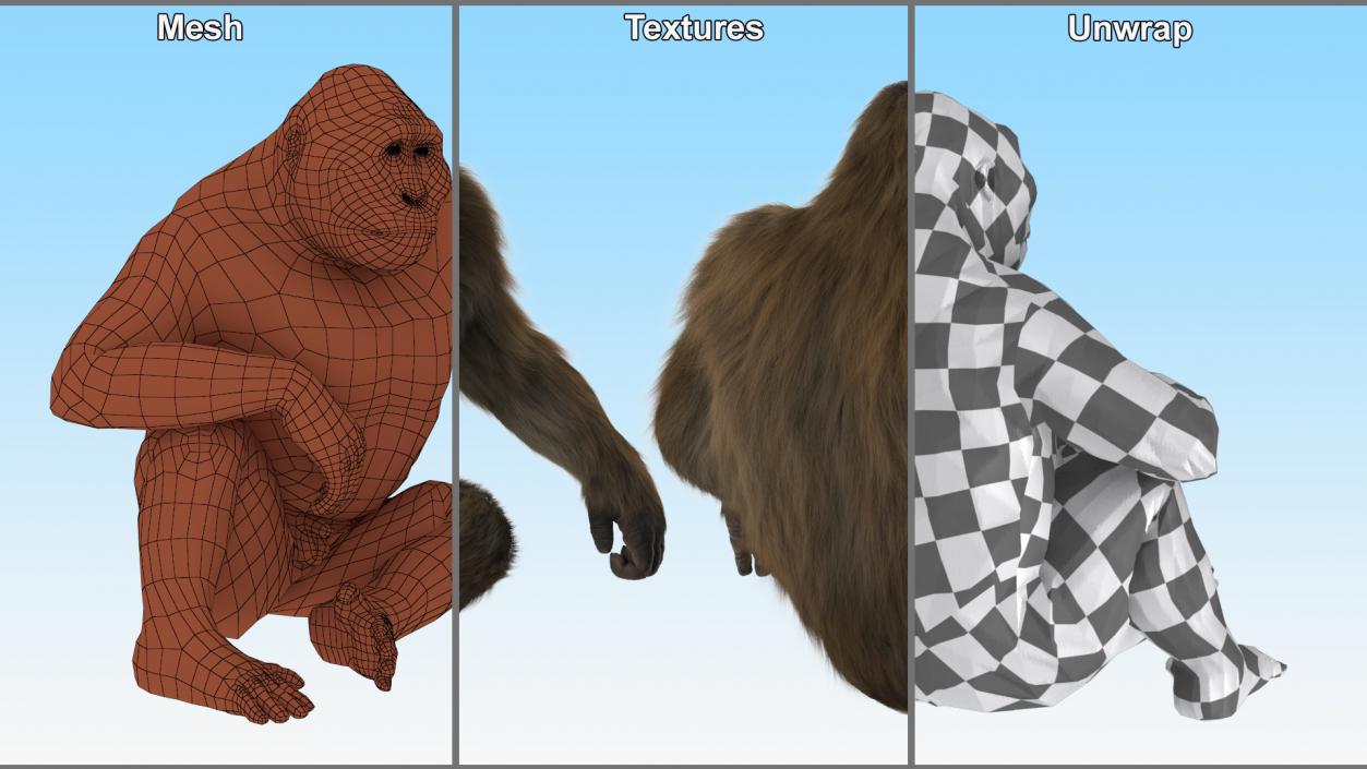 3D model Gigantopithecus in Sitting Pose Fur