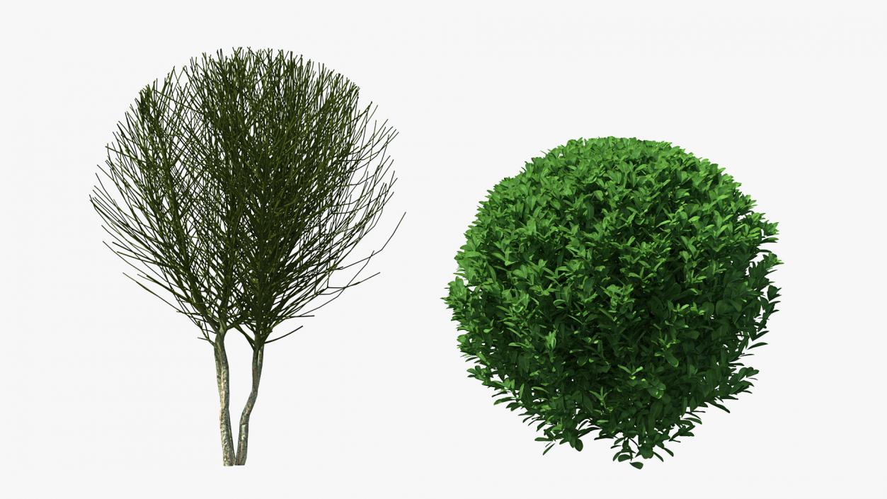 3D Decorative Ball Shaped Boxwood Shrub