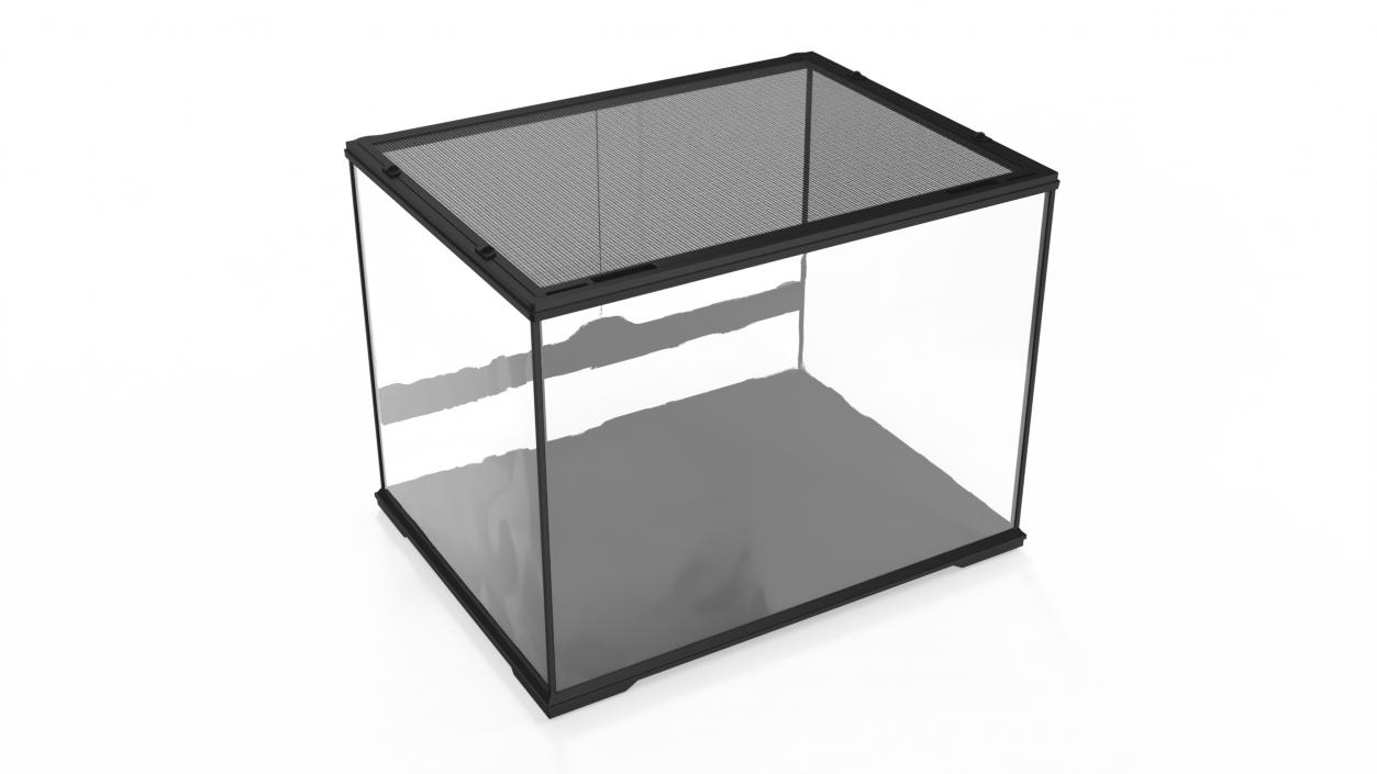 Medium Size Terrarium Empty 3D