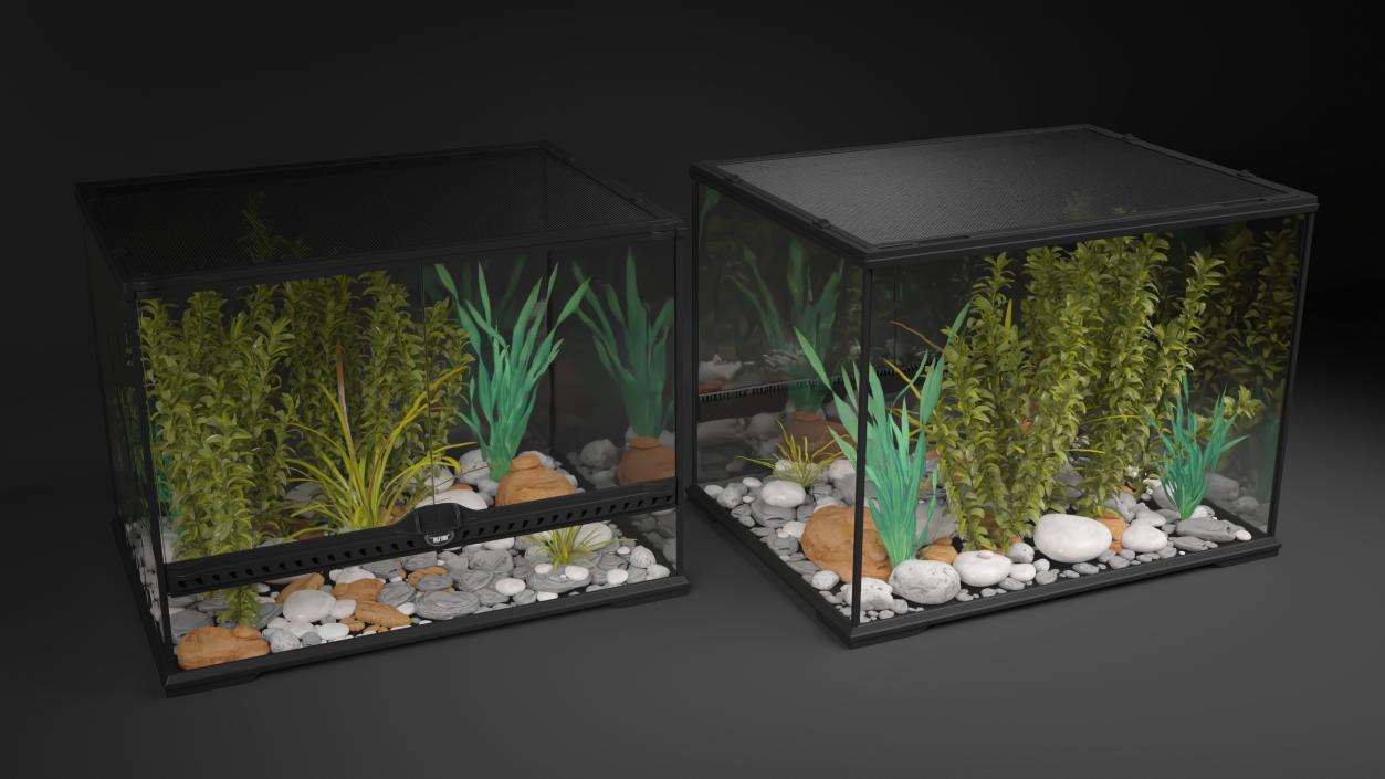 Medium Size Terrarium Empty 3D