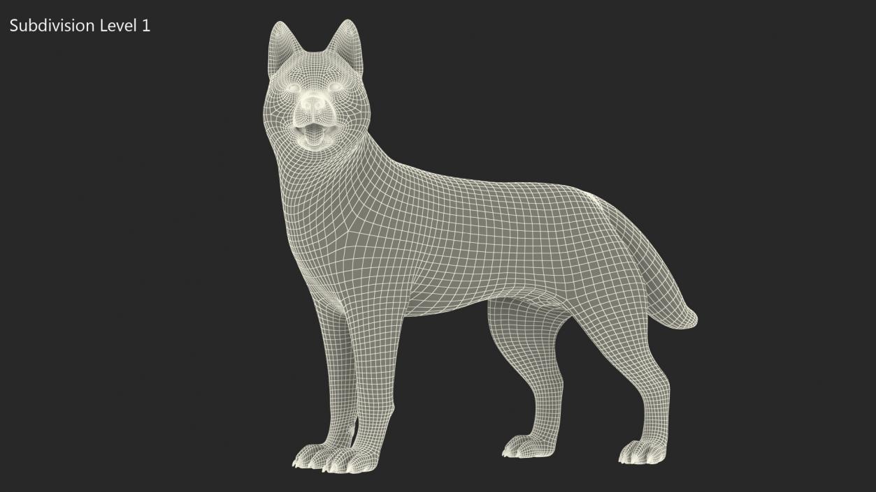 3D Siberian Husky Black Standing Pose Fur model