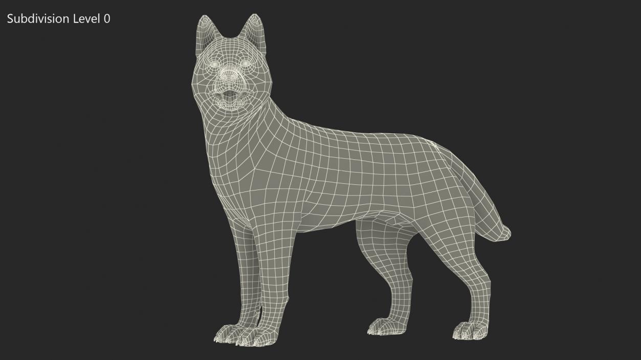 3D Siberian Husky Black Standing Pose Fur model