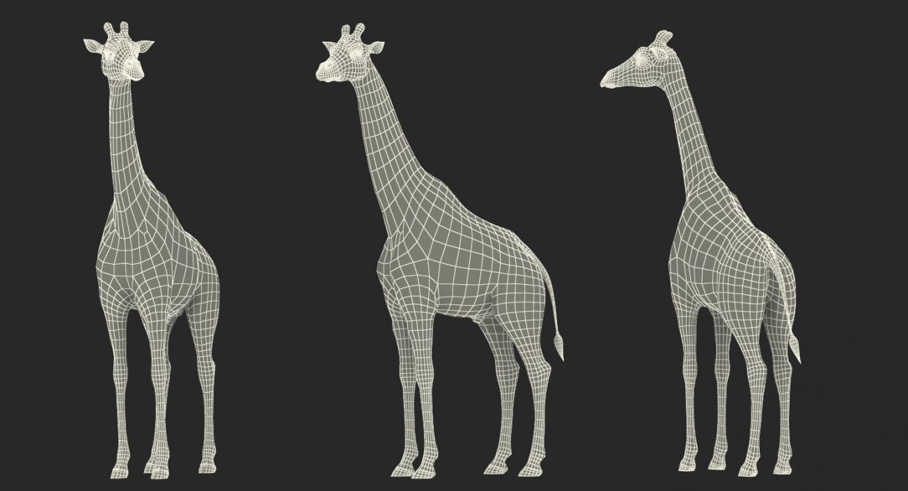 3D model Giraffe Standing Pose Fur