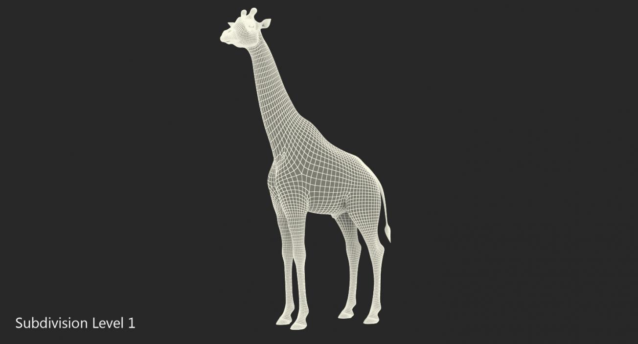 3D model Giraffe Standing Pose Fur