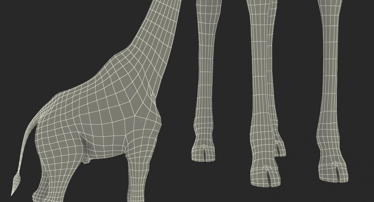 3D model Giraffe Standing Pose Fur