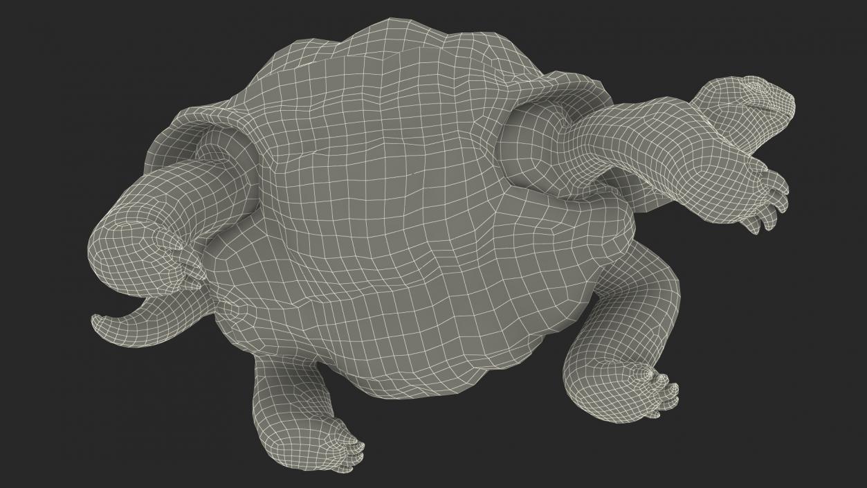 3D model Giant Black Tortoise Walk Pose