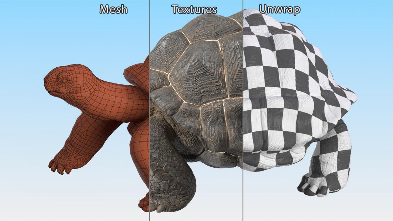 3D model Giant Black Tortoise Walk Pose