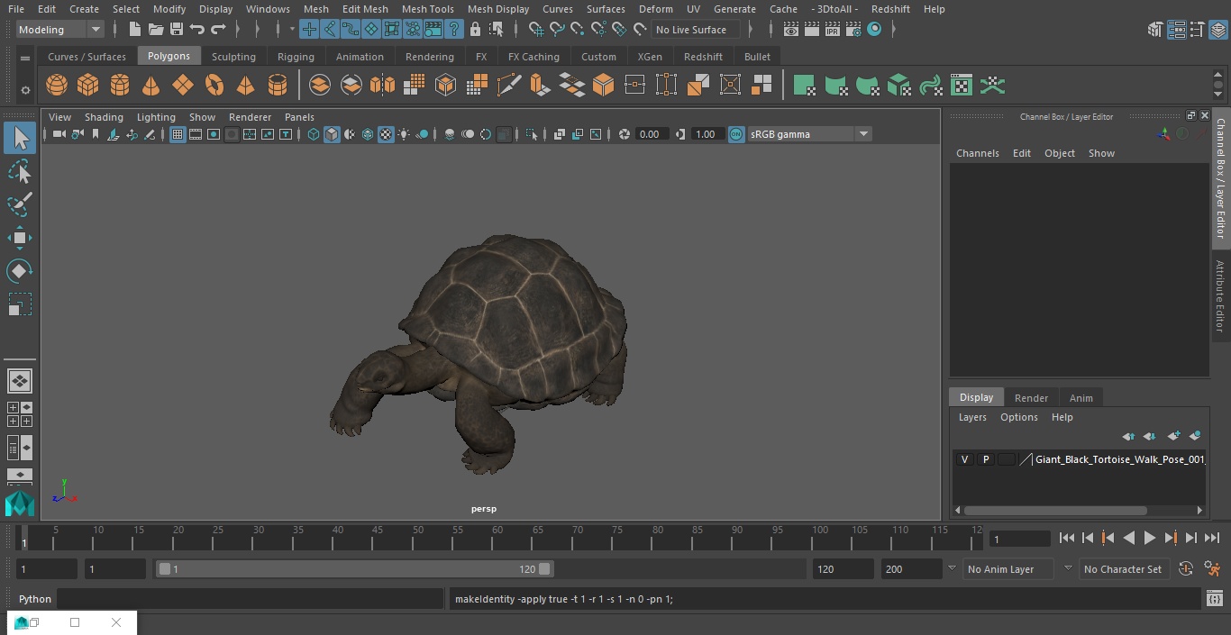 3D model Giant Black Tortoise Walk Pose