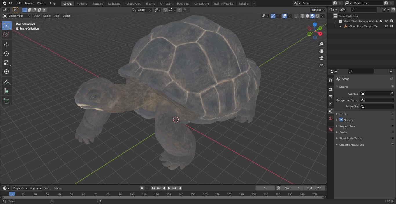 3D model Giant Black Tortoise Walk Pose