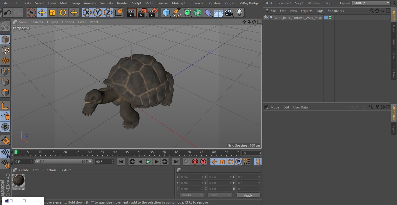 3D model Giant Black Tortoise Walk Pose