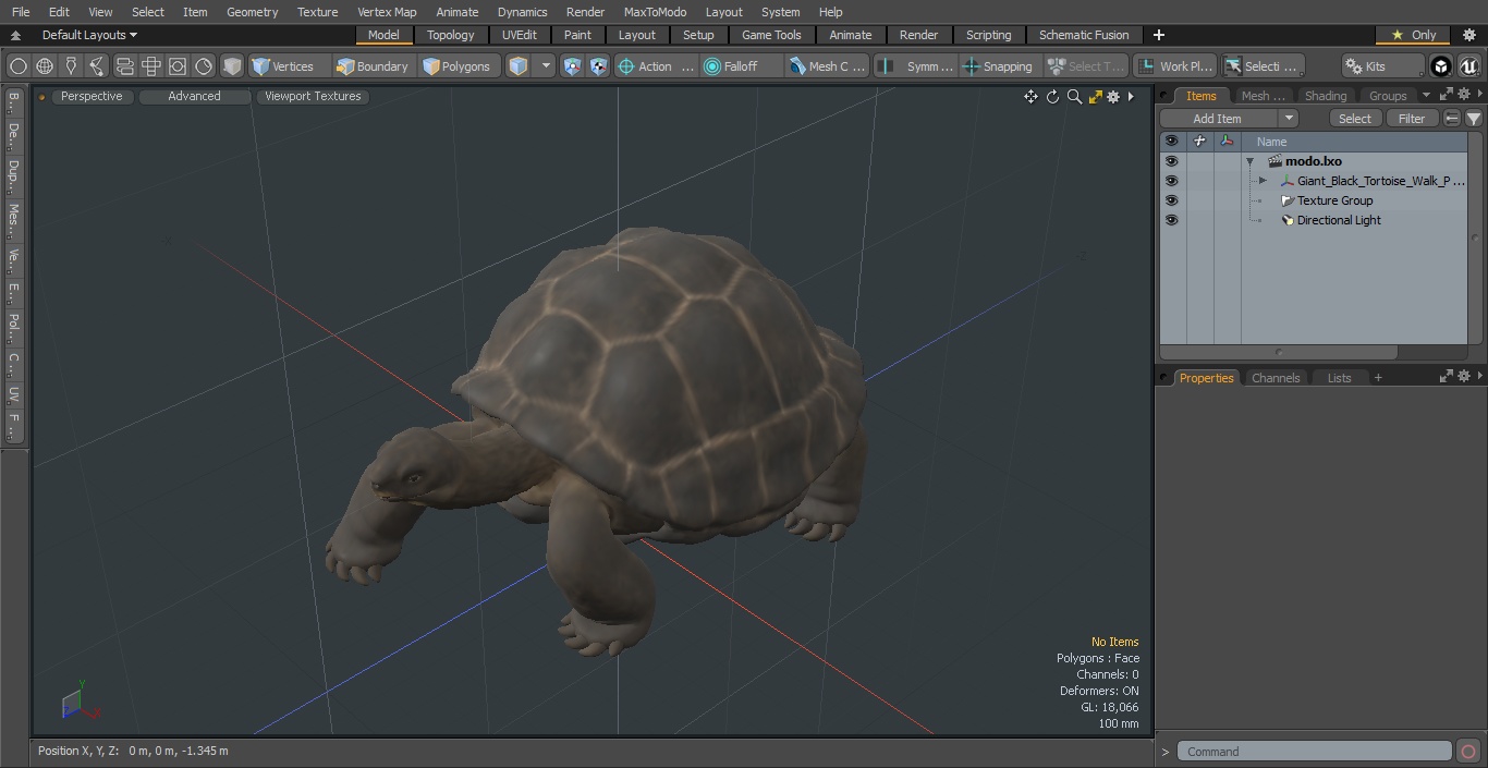 3D model Giant Black Tortoise Walk Pose