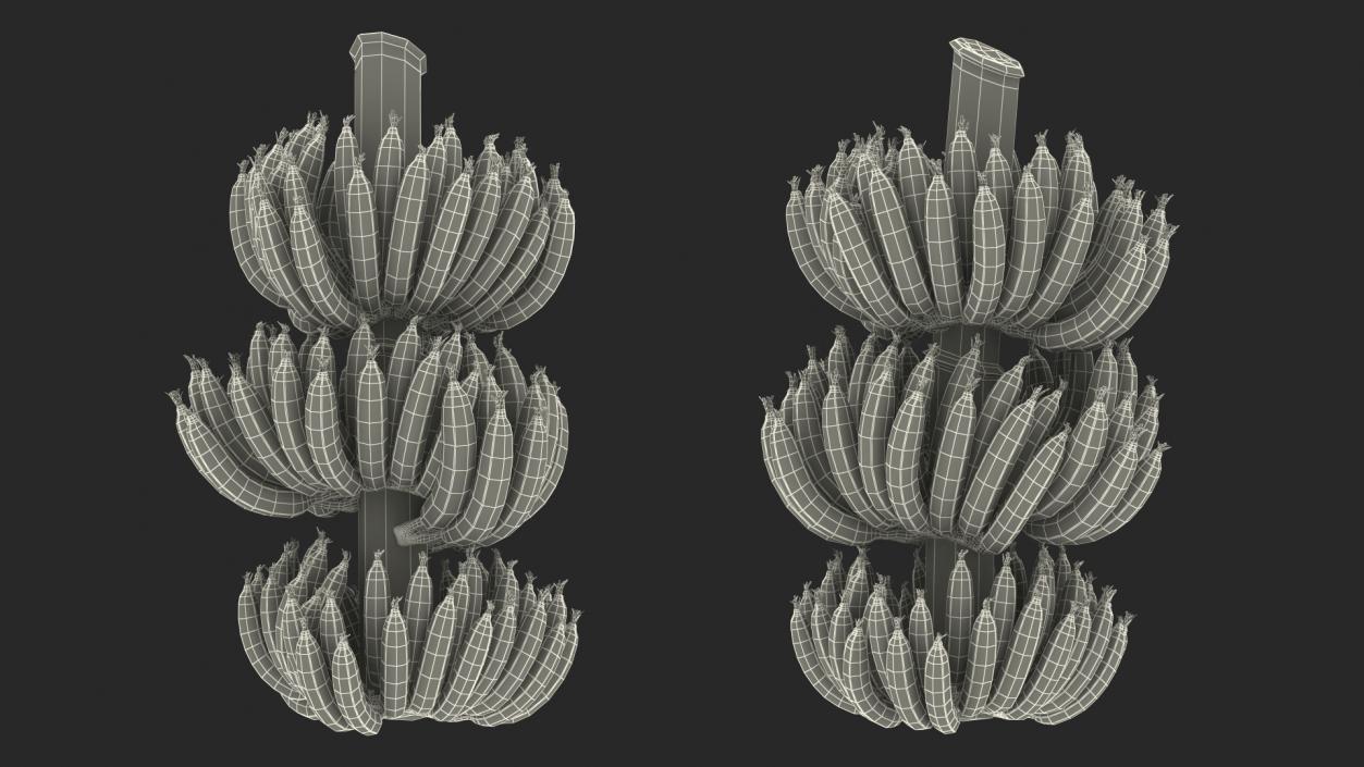 3D model Green Banana Cluster