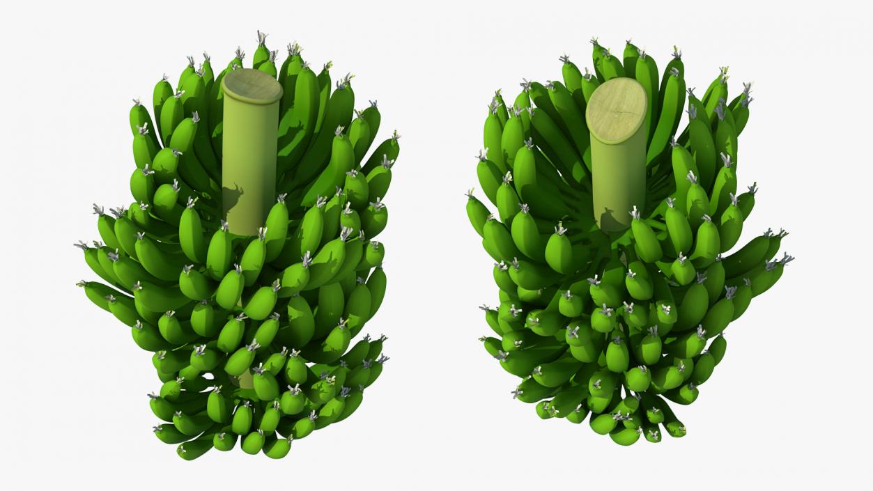 3D model Green Banana Cluster