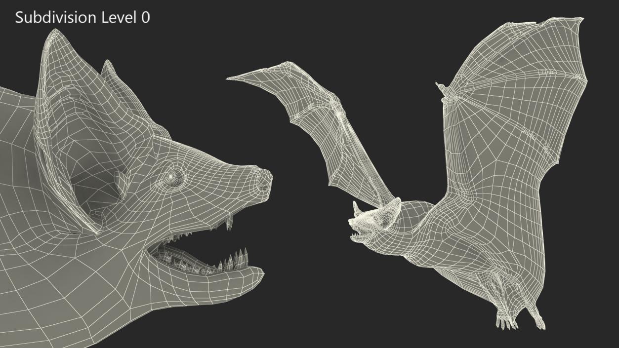 3D Flying Black Bat