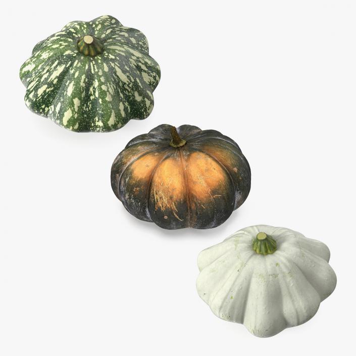 3D Pumpkin Collection model