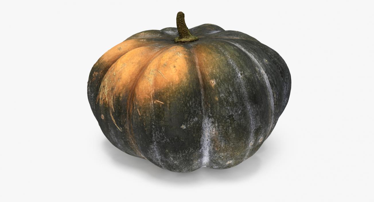 3D Pumpkin Collection model