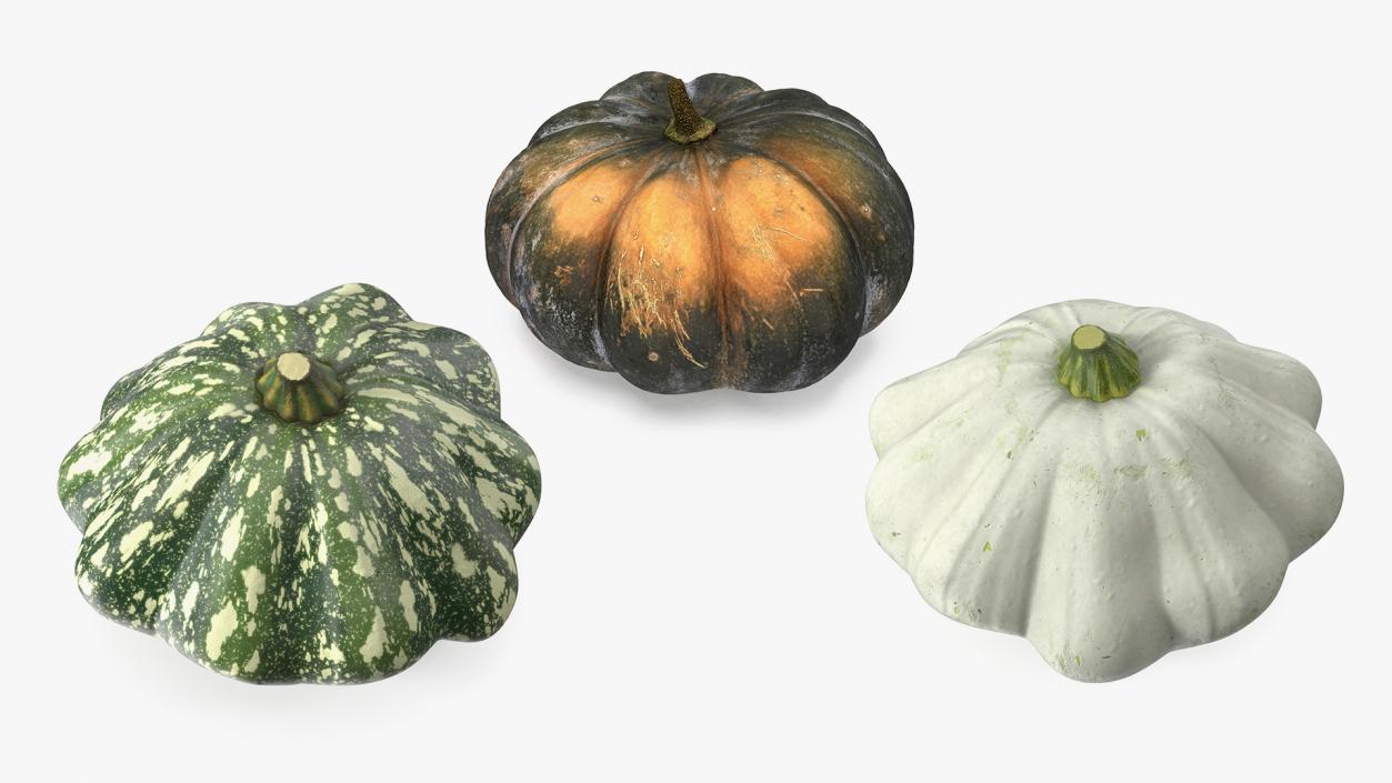 3D Pumpkin Collection model