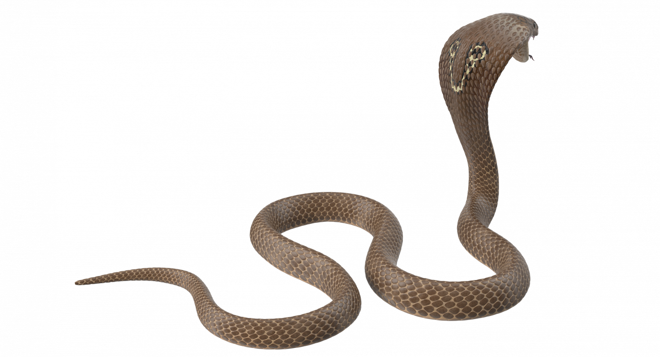 3D Beige Cobra Attack Pose model