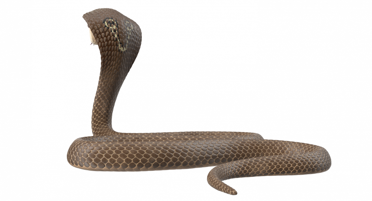 3D Beige Cobra Attack Pose model