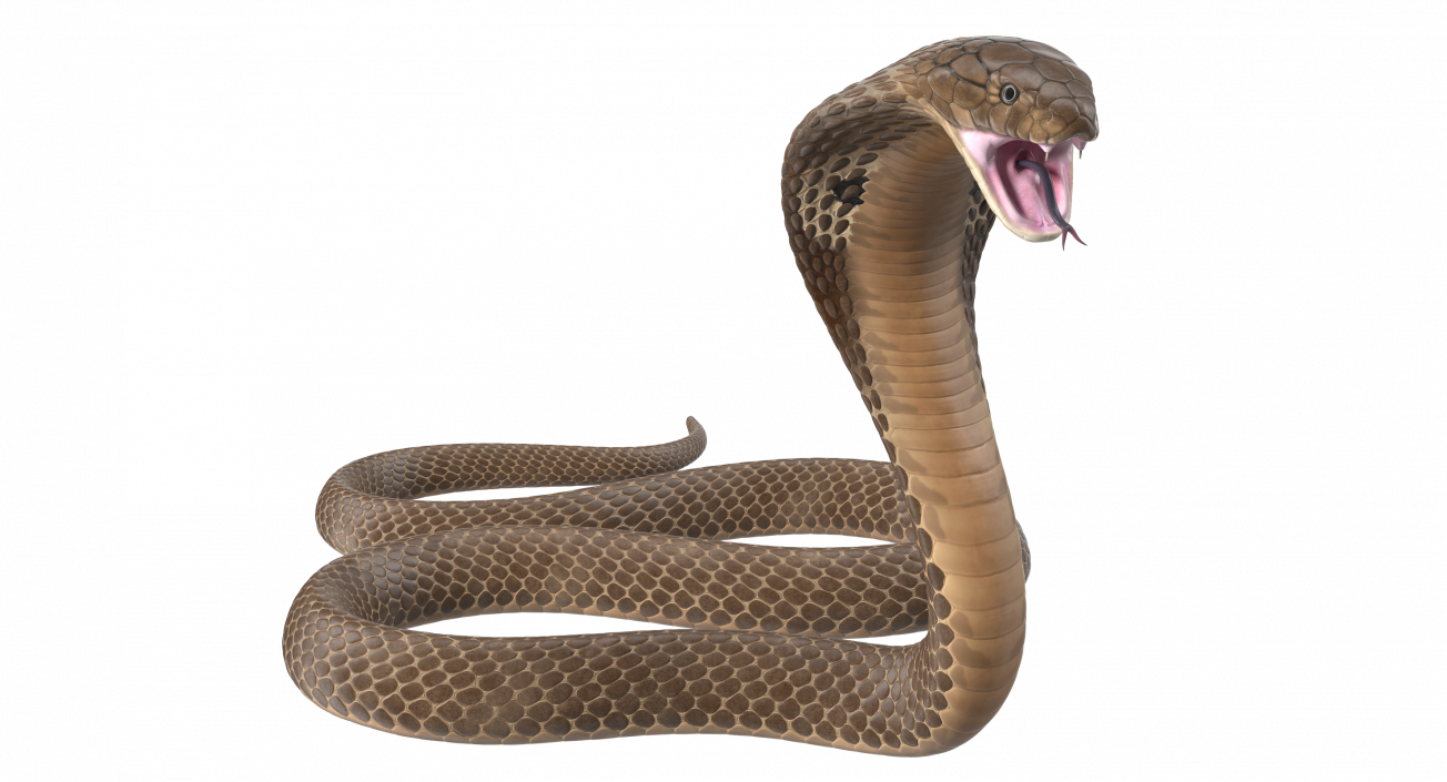 3D Beige Cobra Attack Pose model