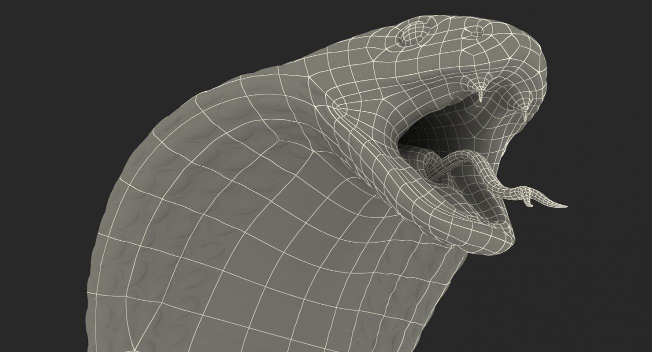 3D Beige Cobra Attack Pose model