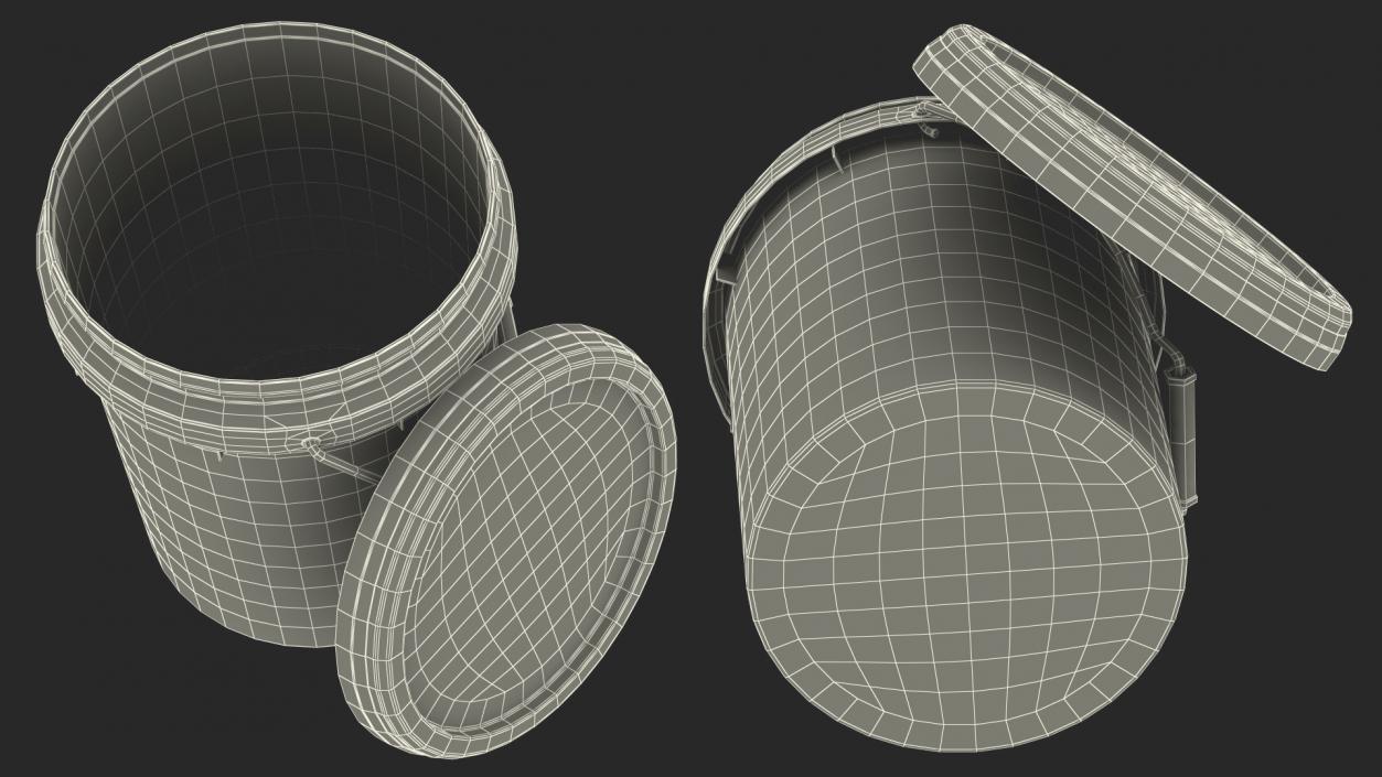 Food Grade 10L Plastic Bucket 3D model