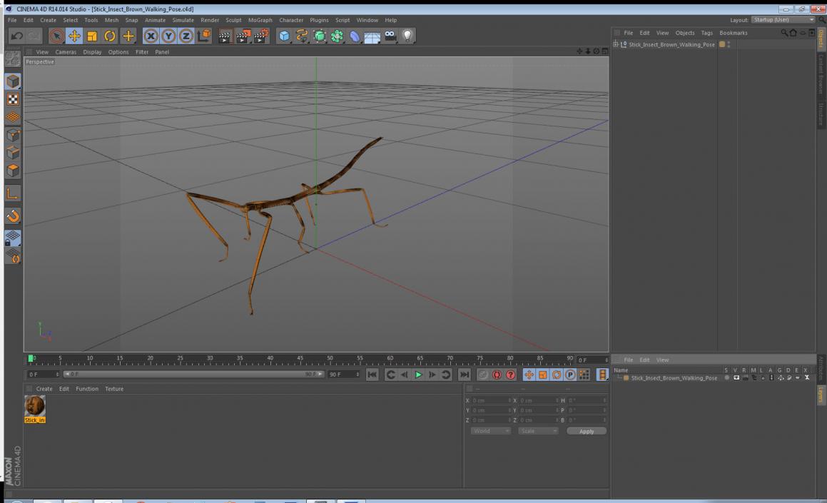 3D Stick Insect Brown Walking Pose