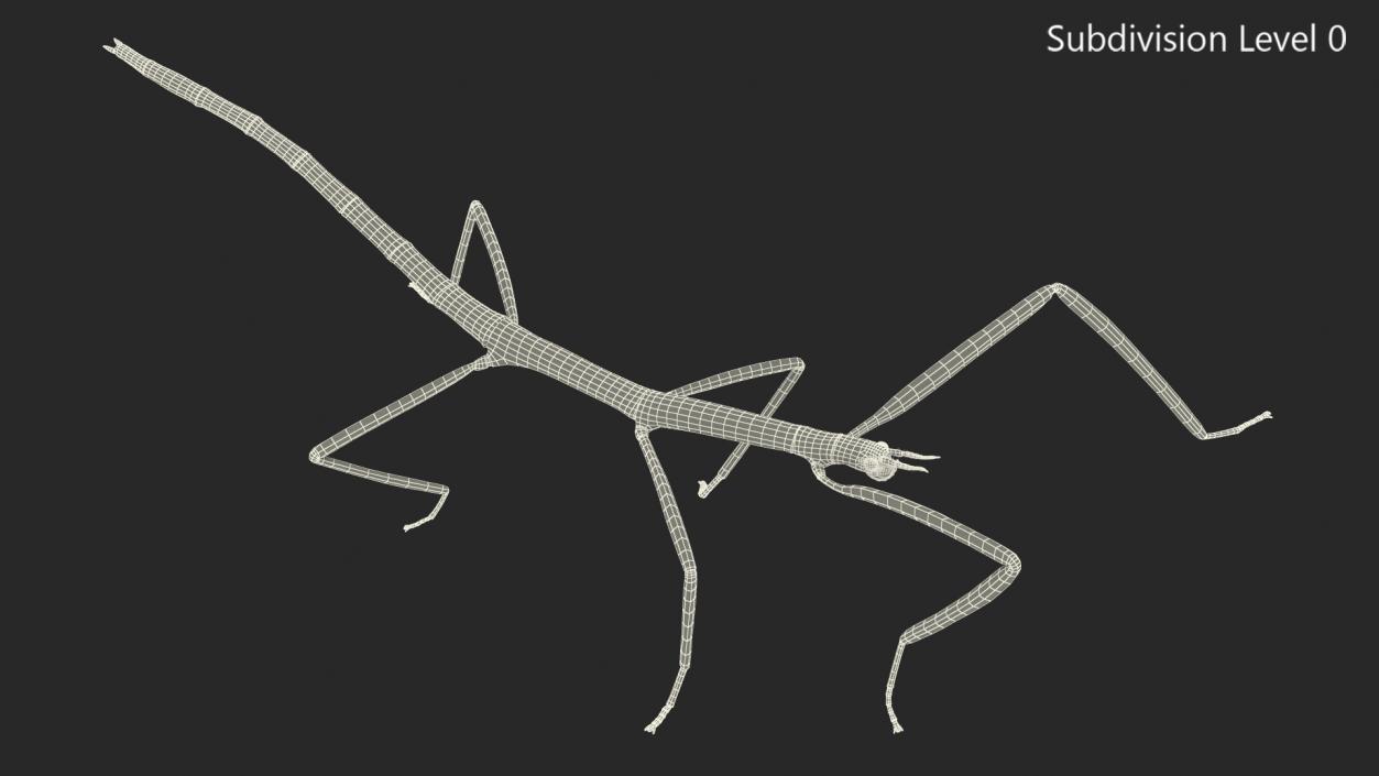 3D Stick Insect Brown Walking Pose