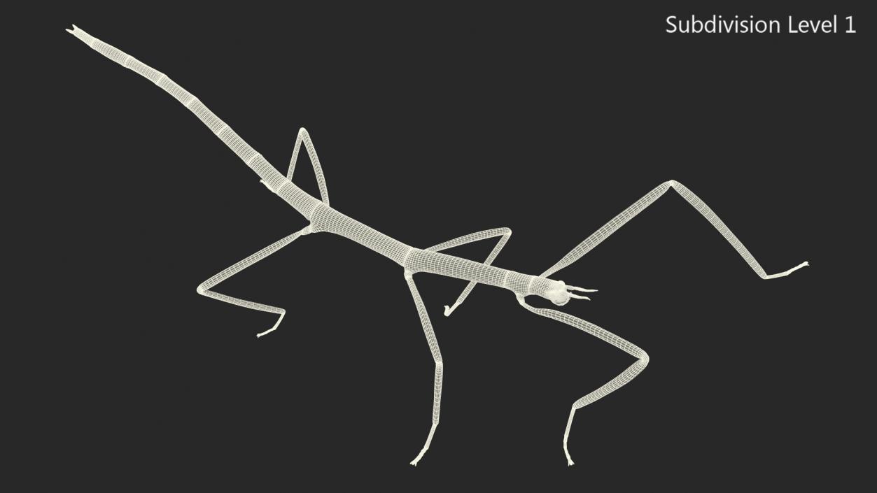 3D Stick Insect Brown Walking Pose