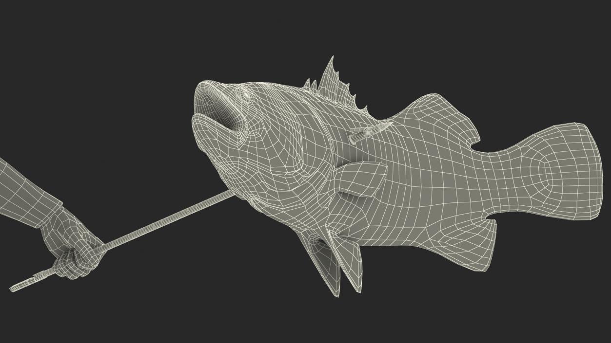 Diver with Underwater Speargun and Fish 3D model