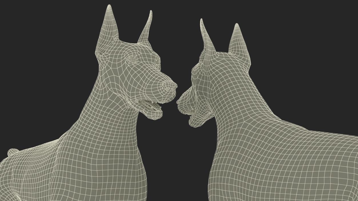 Doberman Pinscher Dog Fur Rigged 3D