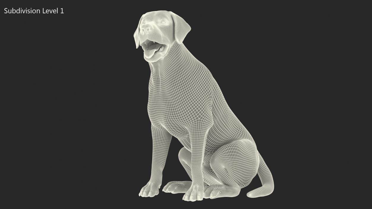 3D model Labrador Dog White Sitting Fur