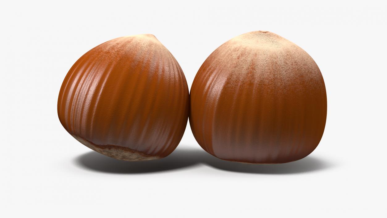 Nuts Collection 6 3D