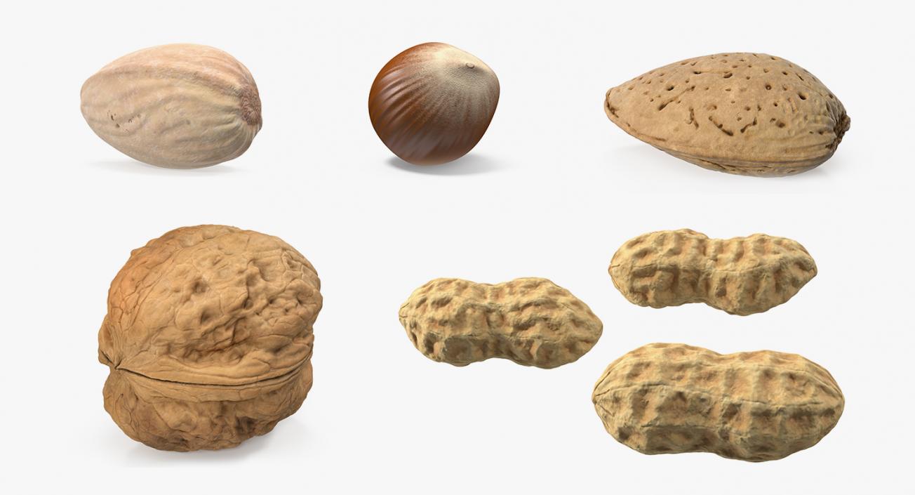 Nuts Collection 6 3D