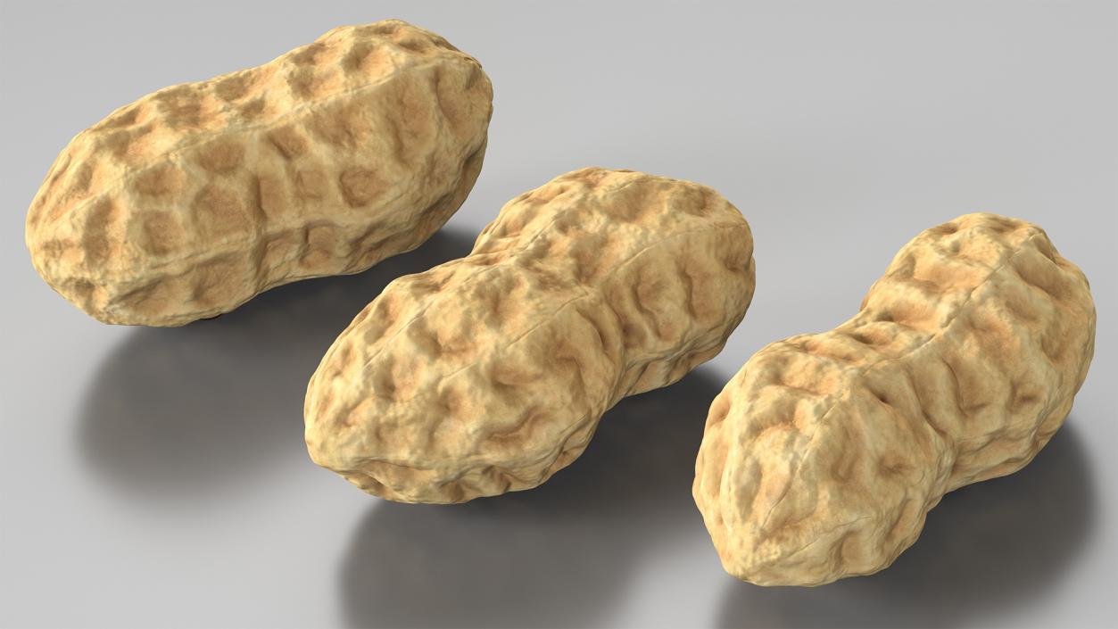 Nuts Collection 6 3D